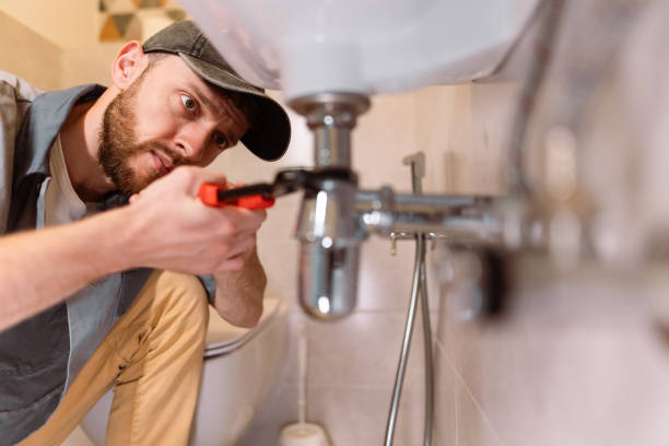 Best Clogged Drain Plumber  in Ripley, OH