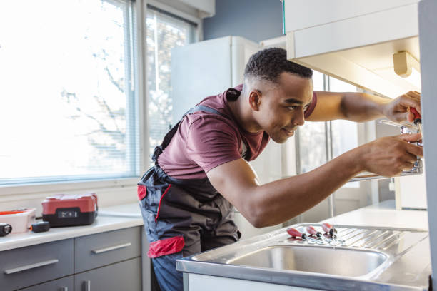 Best Local Plumber Services  in Ripley, OH